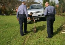 Topovska granata u jezeru Sabljaci