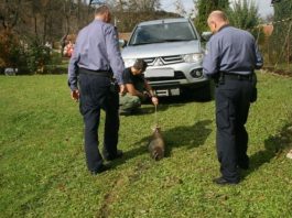 Topovska granata u jezeru Sabljaci