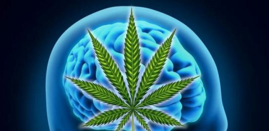 Medicinski kanabinoidi ne poboljšavaju mentalno zdravlje