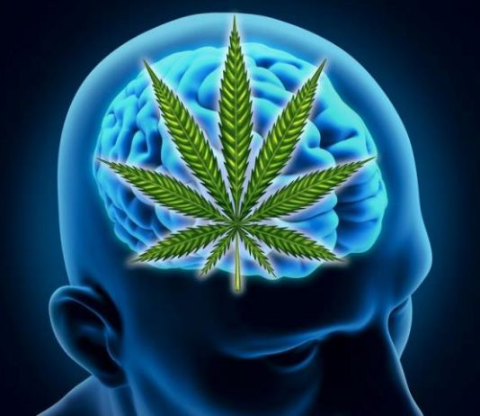 Medicinski kanabinoidi ne poboljšavaju mentalno zdravlje