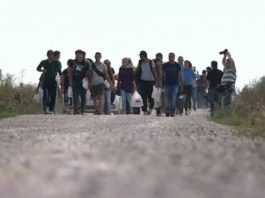 Dvojica migranata utopila se u Kupi