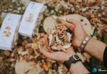 Lički tradicionalni proizvodi kao pokloni pod bor