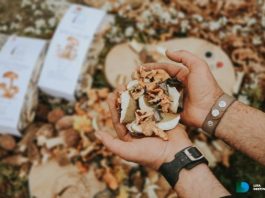 Lički tradicionalni proizvodi kao pokloni pod bor