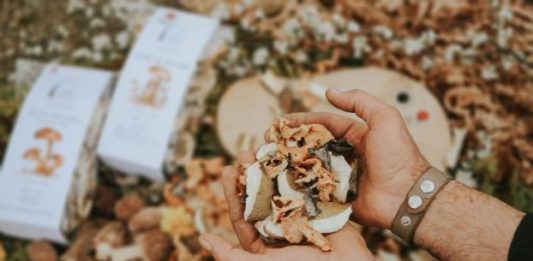 Lički tradicionalni proizvodi kao pokloni pod bor