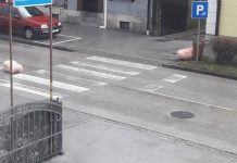 Projekt prikupljanja otpada na kućnom pragu ili malo dalje ako je vjetrovito