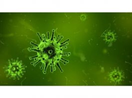 Korona virus, što napraviti ako ste bili u Italiji ili imate simptome