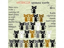 Kastracija, sterilizacija, škopljenje