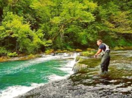 Početak sezone ribolova na pastrve