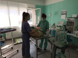 Korona i životinje: Što sa životinjama dok traje izolacija i samoizolacija