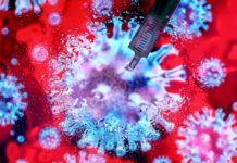 Novooboljelih od koronavirusa nema – stigla nova pošiljka zaštitne opreme