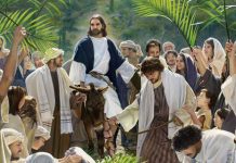 Cvjetnica – Nedjelja muke Gospodnje