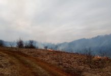 Zbog pojačanog broja požara iz Vatrogasne zajednice Karlovačke županije podsjećaju na oprez