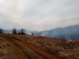 Zbog pojačanog broja požara iz Vatrogasne zajednice Karlovačke županije podsjećaju na oprez