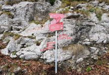 Članovi HPD-a Klek sudjelovali u međunarodnom projektu Via Dinarica
