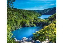 Svjetski dan zaštite okoliša pod sloganom “Vrijeme je za prirodu”