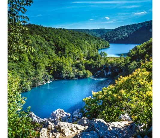 Svjetski dan zaštite okoliša pod sloganom “Vrijeme je za prirodu”