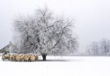 Pobjednici foto-natječaja Volim svoju županiju 2020. godine