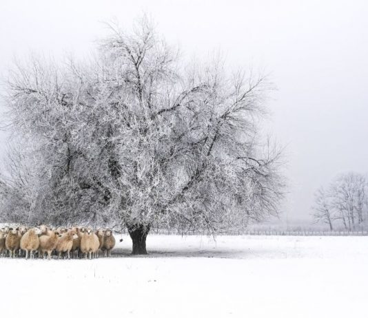 Pobjednici foto-natječaja Volim svoju županiju 2020. godine