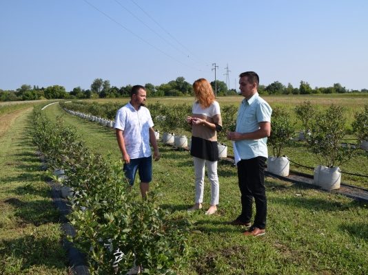 Mladi poljoprivrednici dobivaju beneficirani iznos potpore, a iznos potpore je od 2.000 do 10.000 kuna