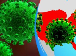 SAD na pragu tri milijuna zaraženih