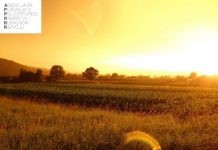 Novih 120 novih ugovora poljoprivrednicima vrijednih gotovo 13,5 milijuna kuna