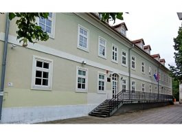 U Učeničkom domu održan virtualni stručni skup o mentalnom zdravlju adolescenata
