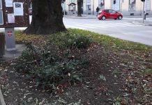 Nema više zelenila u Ulici B. Frankopana