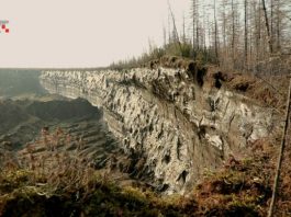 Zašto se Sibir zagrijava brže od ostatka zemlje?