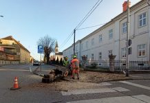 Nastavlja se uništavanje višegodišnjeg zelenila u gradu