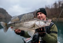 Trošmarske štuke i smuđevi