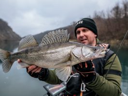 Trošmarske štuke i smuđevi