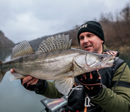 Trošmarske štuke i smuđevi