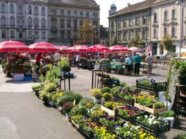 Otvara se braniteljska trgovina na zagrebačkom Britancu: Prodavat će proizvode s braniteljskih OPG-ova i obrta