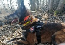 Ogulinska njuška Draco opet pokazao da je nazamjenjiv u kriznim situacijama!