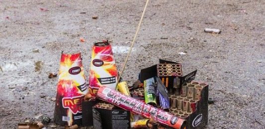 Pobjeda prijatelja životinja: Sabor izglasao zabranu petardi