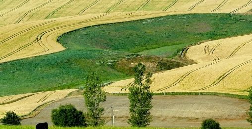 Poljoprivrednicima isplaćeno 6,8 milijardi kuna