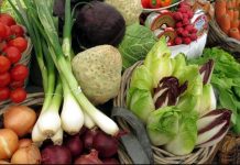 Hrvati godišnje bace 400 tisuća tona hrane