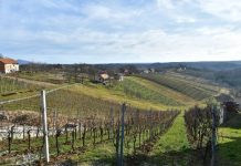 Prijavi se na šesti izbor za najboljeg mladog poljoprivrednika ili poljoprivrednicu u 2021. godini