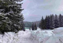 HGSS s Bjelolasice spasio ženu koja je pala i teško se ozlijedila