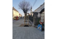 Ipak uvažen glas građana