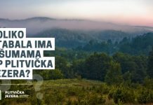 NP Plitvička jezera organizira nagradni natječaj