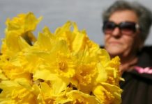 Prodaja narcisa povodom Dana Narcisa u organizaciji Doma zdravlja Ogulin