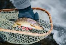 Početak sezone ribolova na pastrve