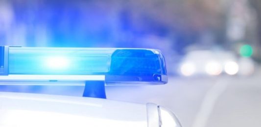 U Zagrebu u stanu ubijena žena