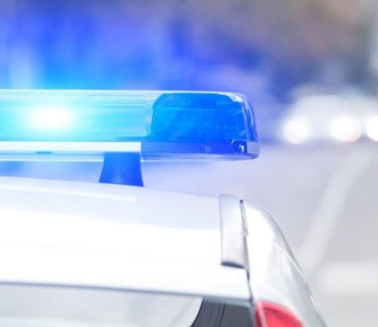 U Zagrebu u stanu ubijena žena