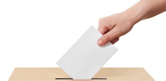 Neslužbeni rezultati izbora za mjesne odbore