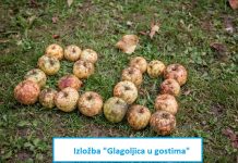 Obrtnička i tehnička škola Ogulin predstavila se na izložbi “„Glagoljica u gostima”