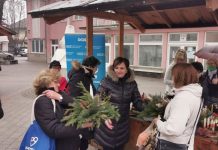 Katarine Ogulin ponovno u akciji