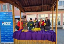 Članice Zajednice žena HDZ-a Katarina Zrinski obilježit će Dan mimoza