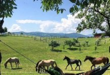 Održana osnivačka skupština novoosnovane Turističke zajednice područja Plitvičke doline